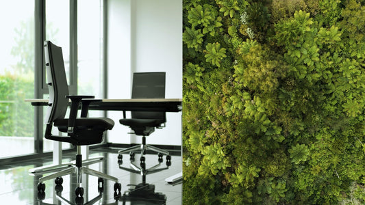 Nachhaltiger Bürostuhl – 7 Aspekte für nachhaltiges Sitzen